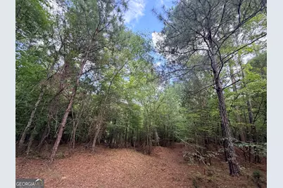 2200 Sharon Road, Crawfordville, GA 30631 - Photo 53