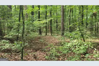 3065 Smokey Road, Athens, GA 30601 - Photo 21