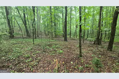 3065 Smokey Road, Athens, GA 30601 - Photo 33