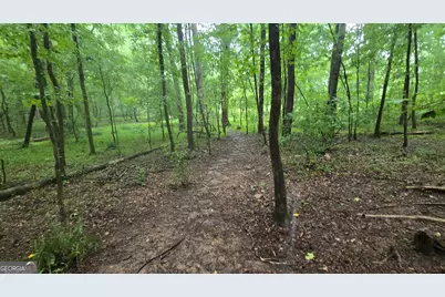 3065 Smokey Road, Athens, GA 30601 - Photo 29