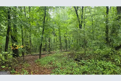 3065 Smokey Road, Athens, GA 30601 - Photo 45