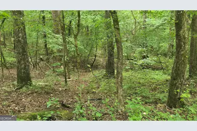 3065 Smokey Road, Athens, GA 30601 - Photo 19