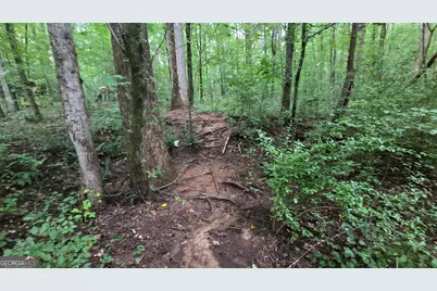 3065 Smokey Road, Athens, GA 30601 - Photo 25