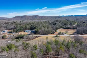 4011 Murphy Hwy, Mineral Bluff, GA 30559 - Photo 87