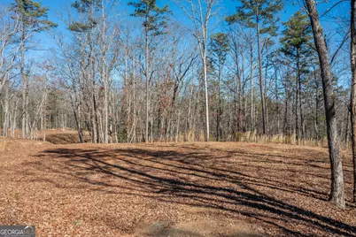 4011 Murphy Highway, Mineral Bluff, GA 30559 - Photo 69