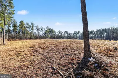 2285 Cherokee Road, Comer, GA 30629 - Photo 7