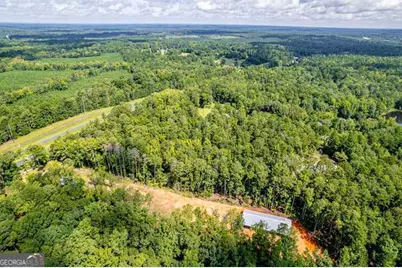 0 Braswell Lake Road, Gray, GA 31032 - Photo 13
