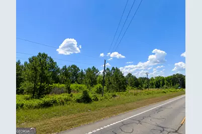2.7 Acres Flamingo Estate, Hawkinsville, GA 31036 - Photo 3