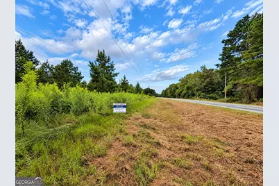 2.7 Acres Flamingo Estate, Hawkinsville, GA 31036 - Photo 7