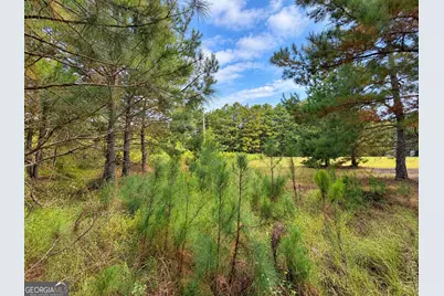 2.7 Acres Flamingo Estate, Hawkinsville, GA 31036 - Photo 3