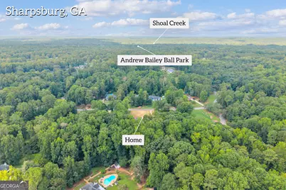 150 Indian Bluff Drive, Sharpsburg, GA 30277 - Photo 115