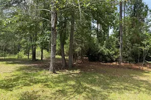 887 Orianna Rd, East Dublin, GA 31027 - Photo 63