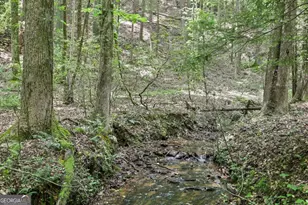 189 Cherry Lake Drive, Blue Ridge, GA 30513 - Photo 45