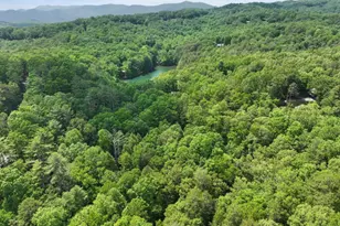 189 Cherry Lake Drive, Blue Ridge, GA 30513 - Photo 29
