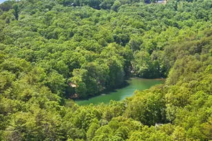 189 Cherry Lake Drive, Blue Ridge, GA 30513 - Photo 15