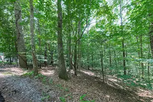 314 Spring Creek, Blairsville, GA 30512 - Photo 31