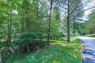 314 Spring Creek, Blairsville, GA 30512 - Photo 29