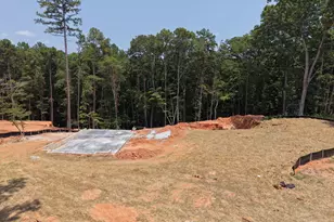 1000 Eastridge Loop, Greensboro, GA 30642 - Photo 17