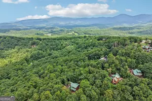 462 Ranch Mountain Dr, Dahlonega, GA 30533 - Photo 63