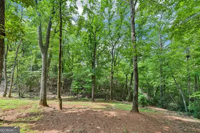 462 Ranch Mountain Drive, Dahlonega, GA 30533 - Photo 67