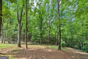 462 Ranch Mountain Dr, Dahlonega, GA 30533 - Photo 67