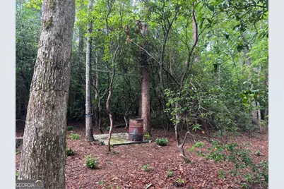 19 Ladybug Lane, Blue Ridge, GA 30513 - Photo 43