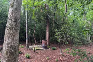 19 Ladybug Ln, Blue Ridge, GA 30513 - Photo 43