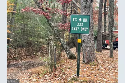 19 Ladybug Lane, Blue Ridge, GA 30513 - Photo 3