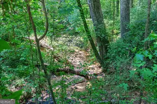 152 Thornhill Dr, Athens, GA 30607 - Photo 57