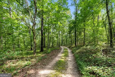 4165 Glenn Road, Franklin, GA 30217 - Photo 39