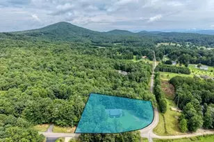 490 Copperhead Rd, Blairsville, GA 30512 - Photo 33