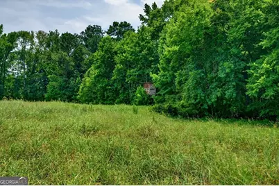 1744 Alexander Road, Monticello, GA 31064 - Photo 67