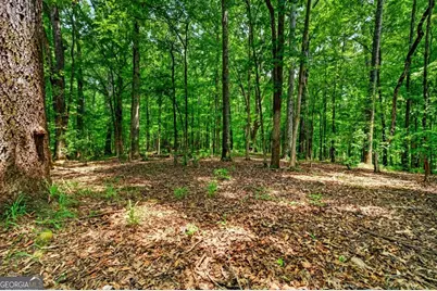 1744 Alexander Road, Monticello, GA 31064 - Photo 69