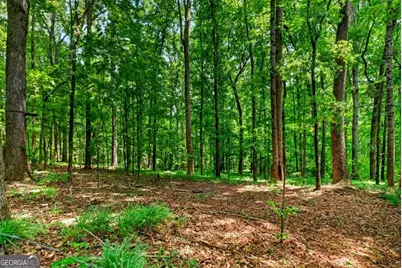 1744 Alexander Road, Monticello, GA 31064 - Photo 71