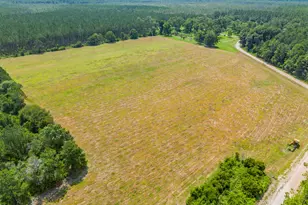 4690 Ammons Rd, Waycross, GA 31503 - Photo 3