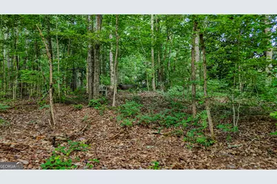 110 Handy Road, Newnan, GA 30263 - Photo 73
