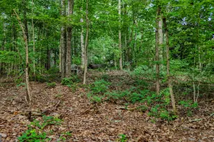 110 Handy Rd, Newnan, GA 30263 - Photo 73