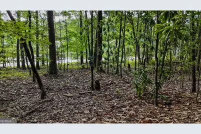 110 Handy Road, Newnan, GA 30263 - Photo 71