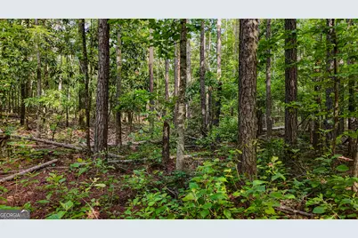 110 Handy Road, Newnan, GA 30263 - Photo 85