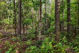 110 Handy Rd, Newnan, GA 30263 - Photo 85