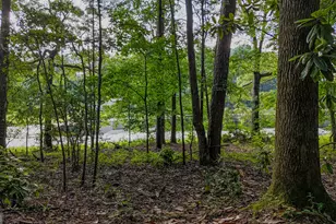 110 Handy Rd, Newnan, GA 30263 - Photo 69