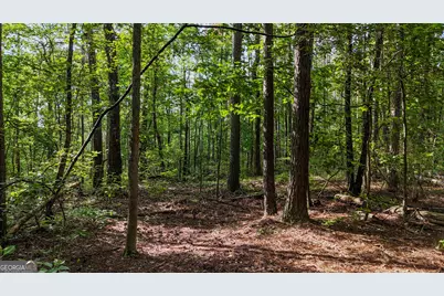 110 Handy Road, Newnan, GA 30263 - Photo 83