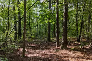 110 Handy Rd, Newnan, GA 30263 - Photo 83