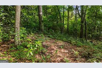 110 Handy Road, Newnan, GA 30263 - Photo 77