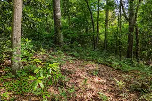 110 Handy Rd, Newnan, GA 30263 - Photo 77