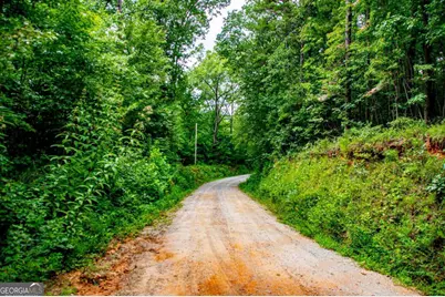 0 Goolsby Rd Road, Carrollton, GA 30117 - Photo 3