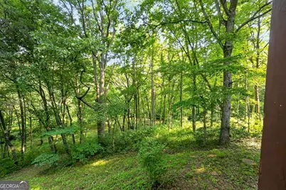 245 Sunrise Valley Road, Blue Ridge, GA 30513 - Photo 31