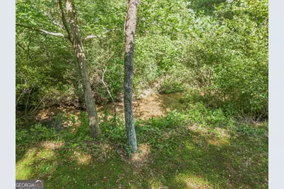 245 Sunrise Valley Road, Blue Ridge, GA 30513 - Photo 49