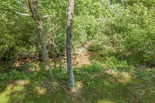 245 Sunrise Valley Rd, Blue Ridge, GA 30513 - Photo 49
