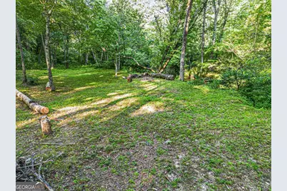 245 Sunrise Valley Road, Blue Ridge, GA 30513 - Photo 33